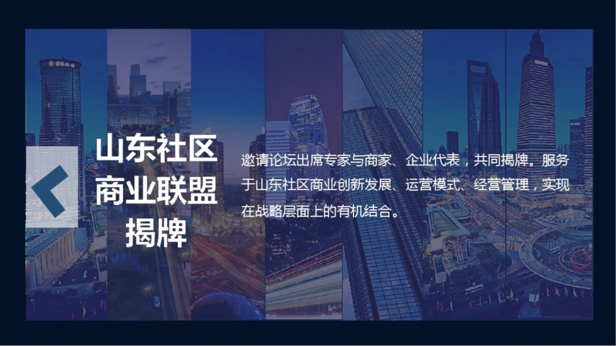 山东社区商业发展高峰论坛_第9页