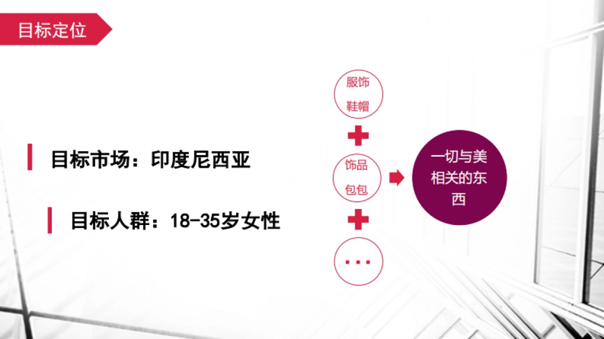 v.shine社交电商平台商业计划书_第3页