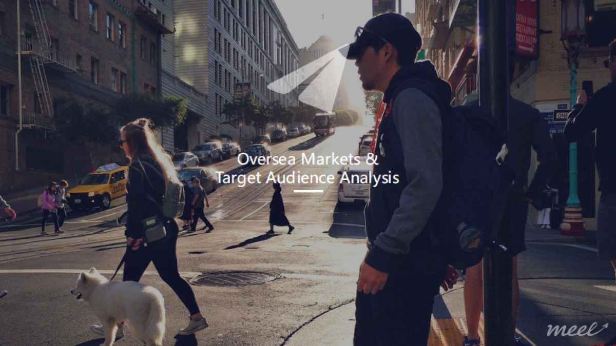 Vivo 2018 海外社交媒体营销方案_第4页