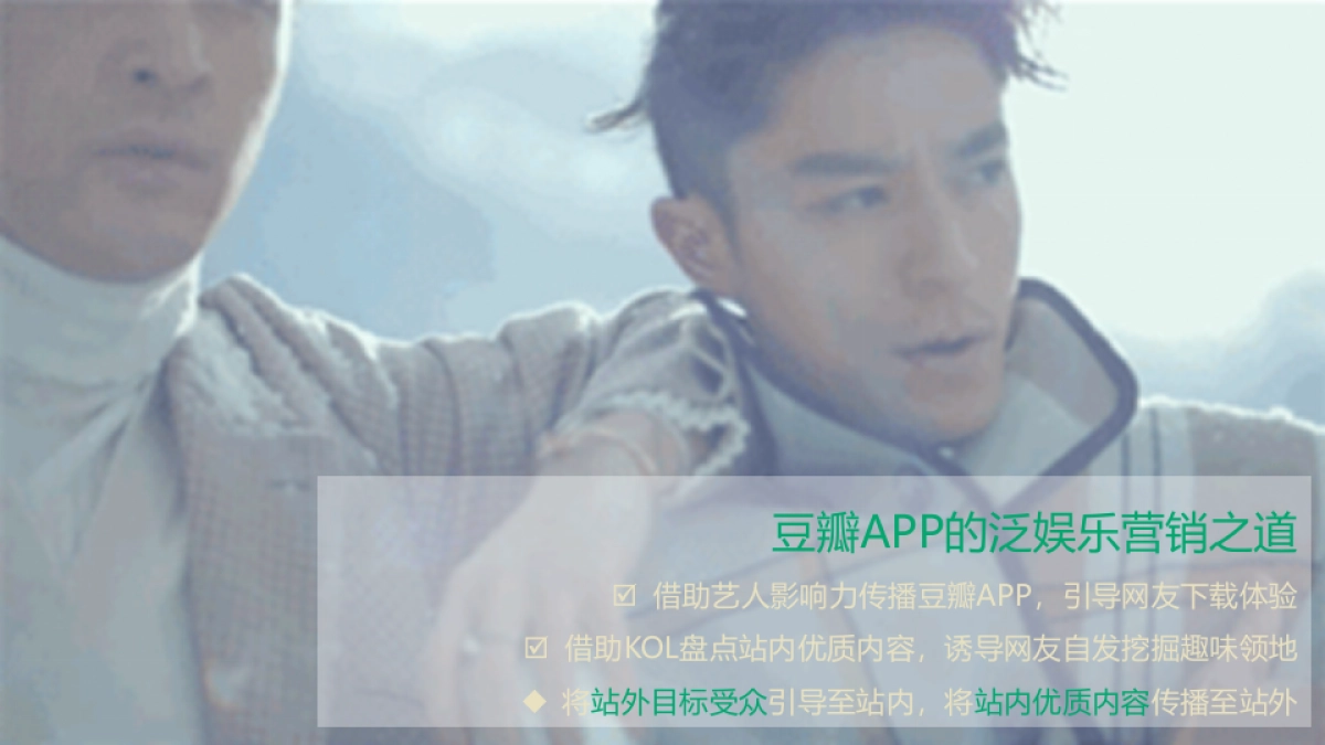 豆瓣APP社交媒体泛娱乐营销传播推广建议_第5页