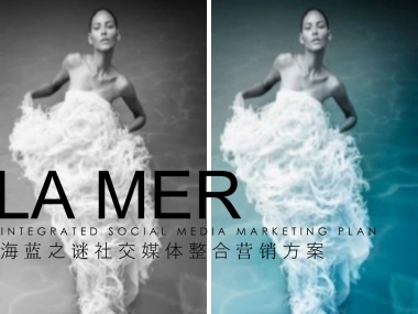 海蓝之谜社交媒体营销方案