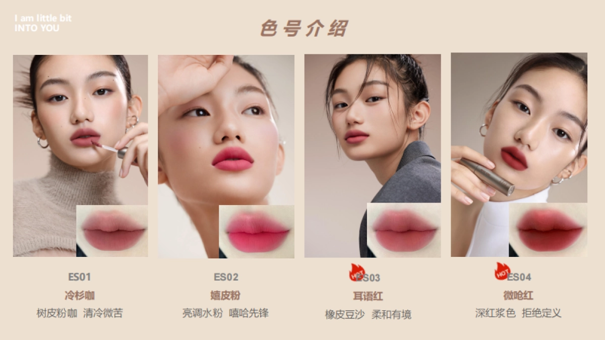 美妆品牌唇釉产品社交媒体传播brief_第5页