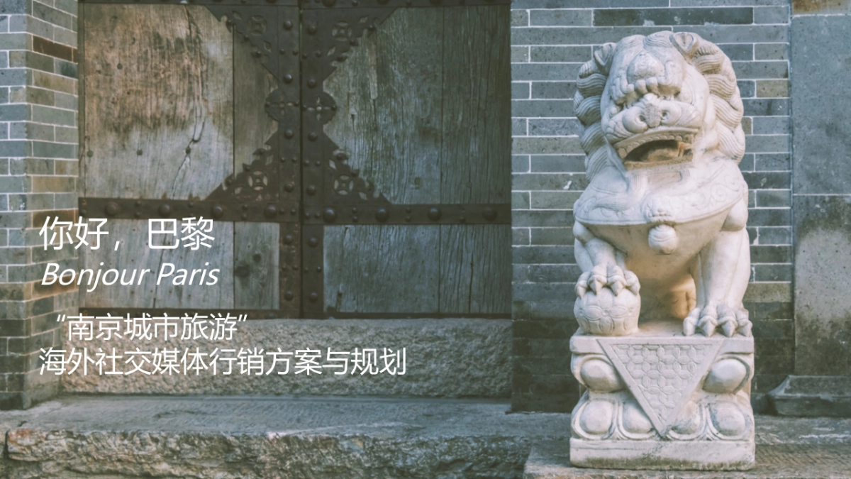 南京城市旅游海外社交媒体营销策划案_第1页