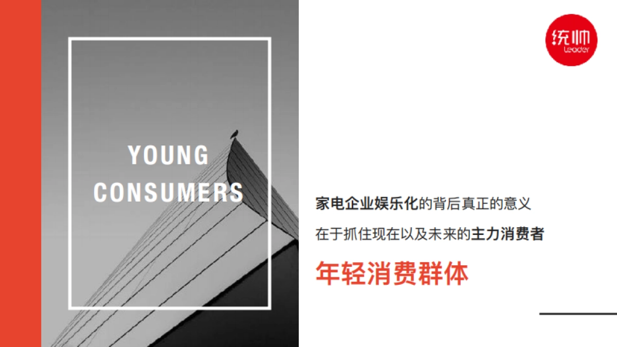 2018统帅新媒体社会化营销运营平台策略与内容规划方案_第6页