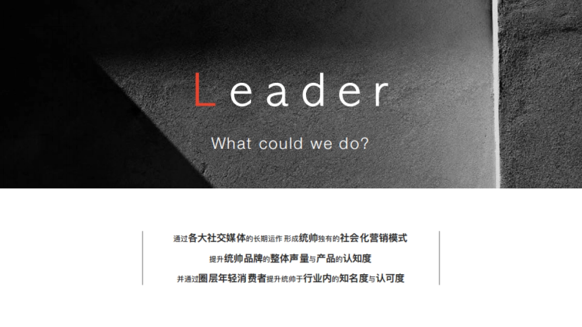 2018统帅新媒体社会化营销运营平台策略与内容规划方案_第8页