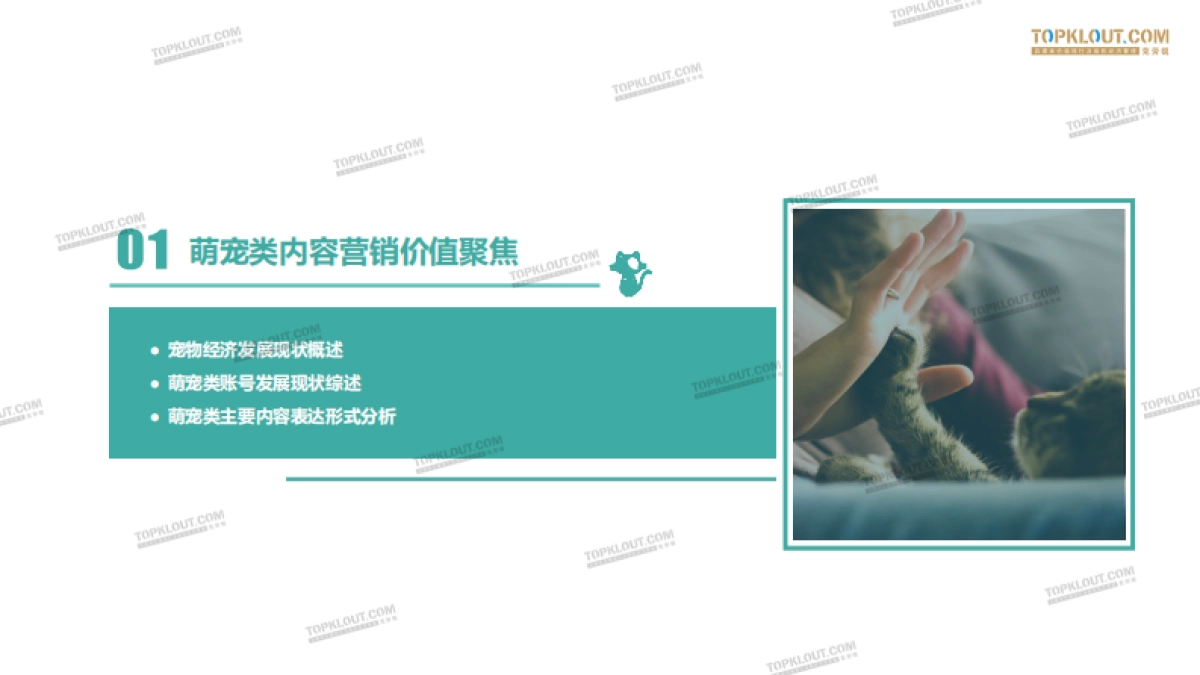 2020萌宠内容生态下的宠物经济-克劳锐_第3页