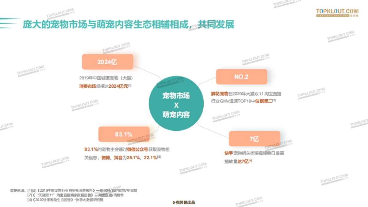 2020萌宠内容生态下的宠物经济-克劳锐_第4页