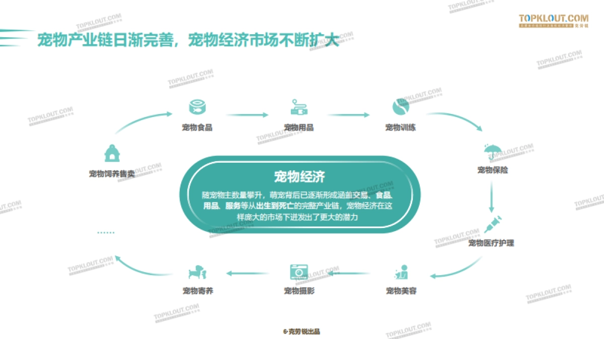 2020萌宠内容生态下的宠物经济-克劳锐_第5页