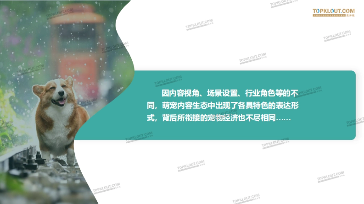 2020萌宠内容生态下的宠物经济-克劳锐_第9页