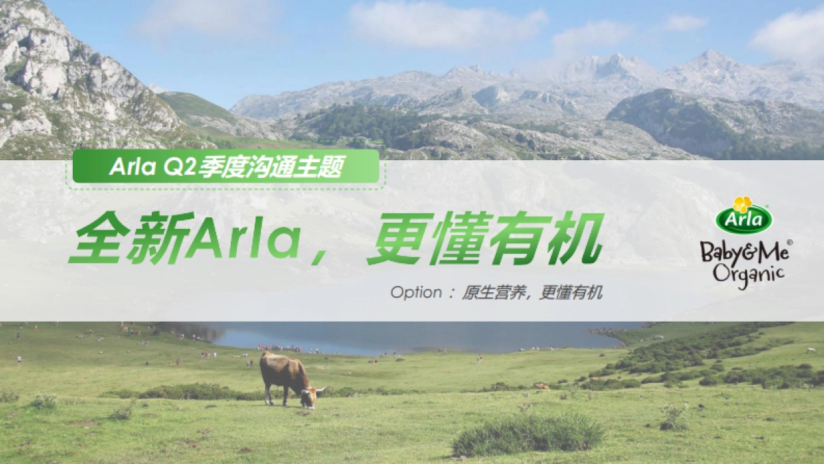 Arla Baby&Me Organic Q2内容种草方案_第10页