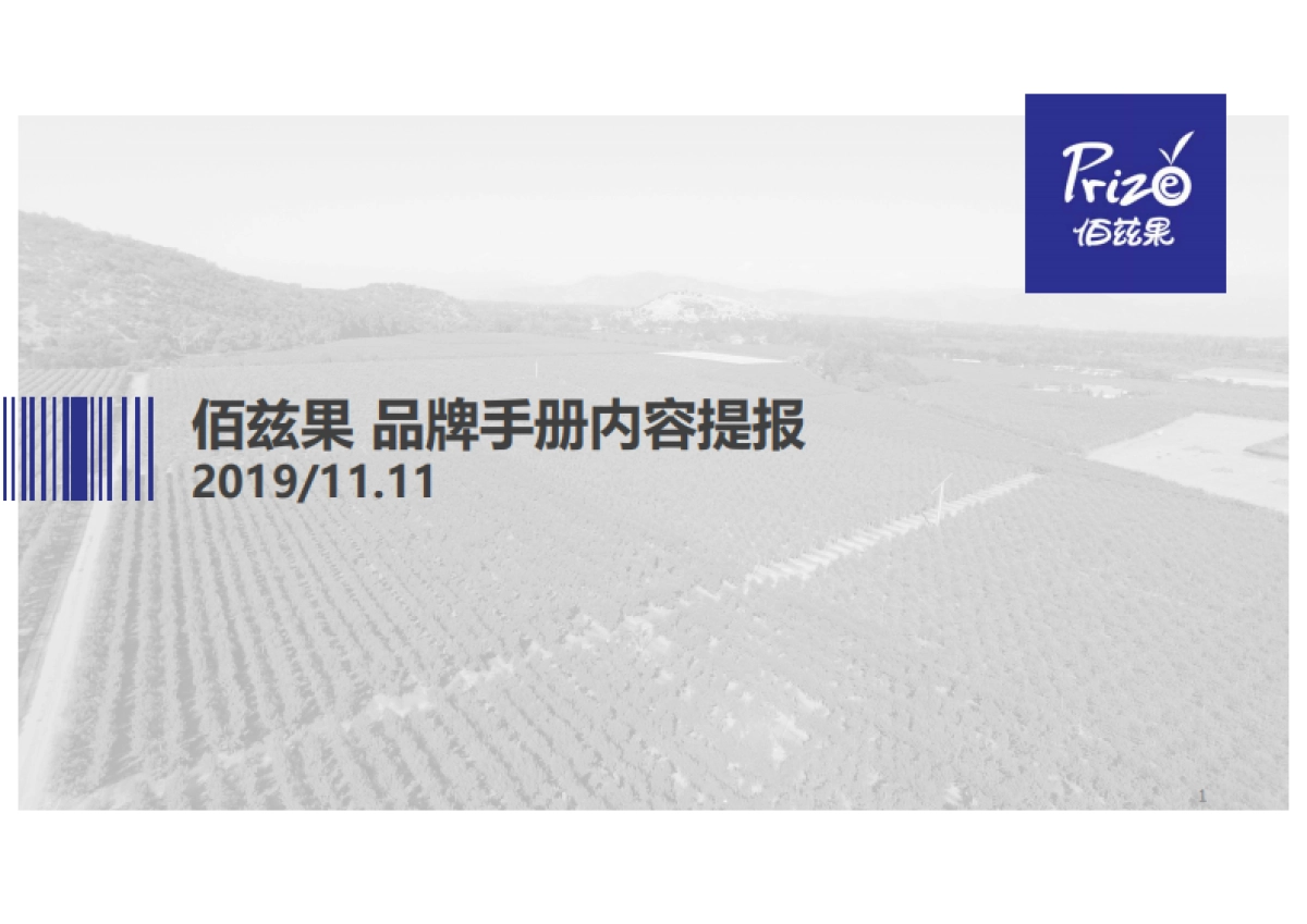 佰兹果水果品牌手册内容提报_第1页