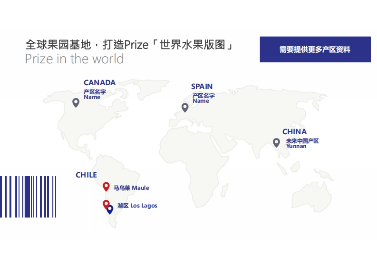 佰兹果水果品牌手册内容提报_第10页