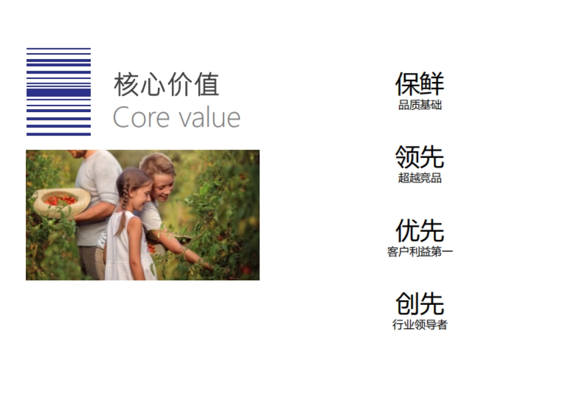 佰兹果水果品牌手册内容提报_第8页