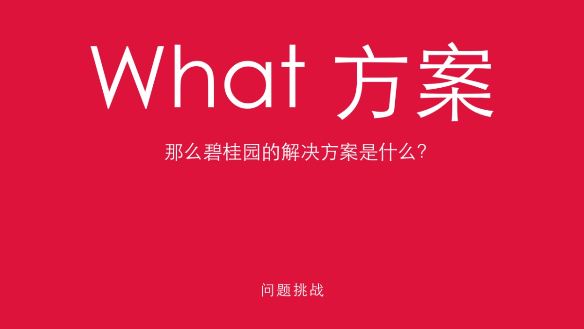 深圳道里-碧桂园凤凰通APP推广方案_第10页