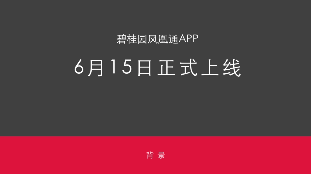 深圳道里-碧桂园凤凰通APP推广方案_第3页