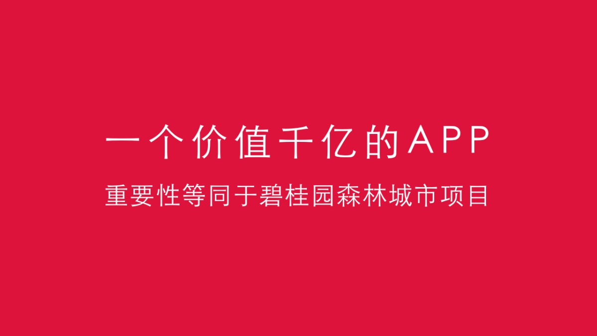 深圳道里-碧桂园凤凰通APP推广方案_第9页