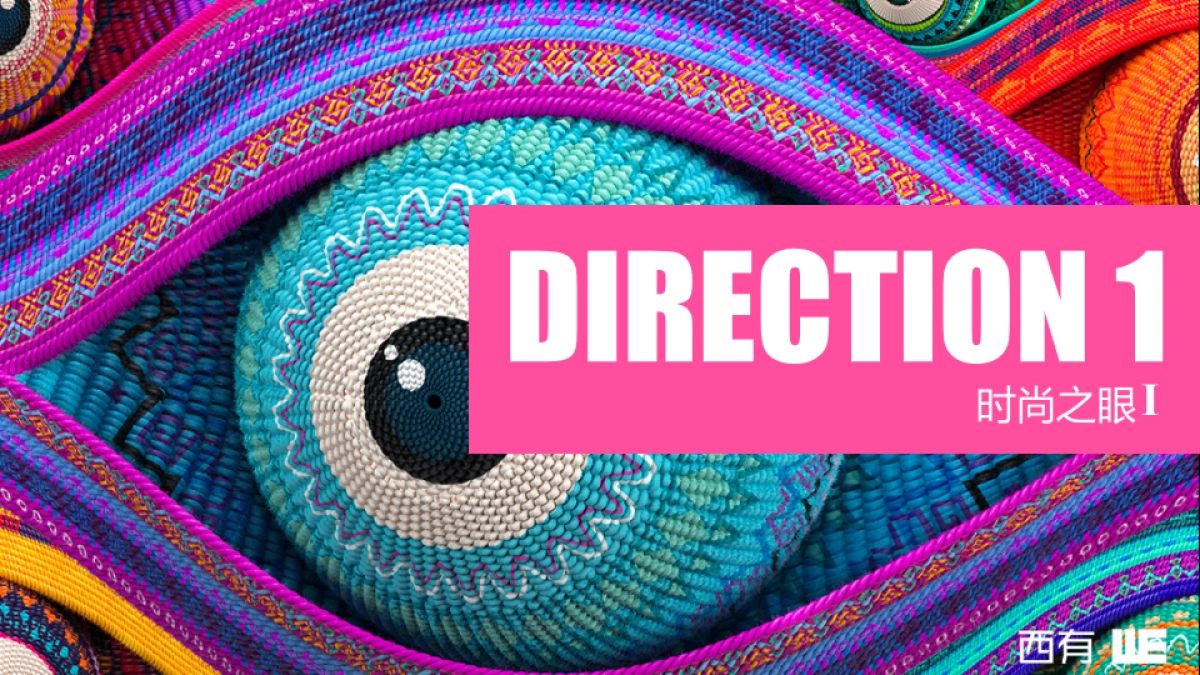 西有APP LOGO提案_第2页