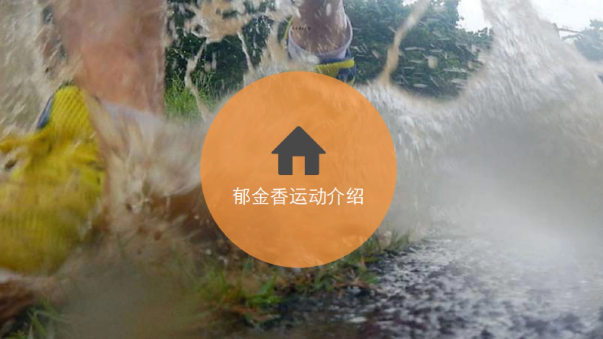 郁金香运动APP商业计划书_第3页