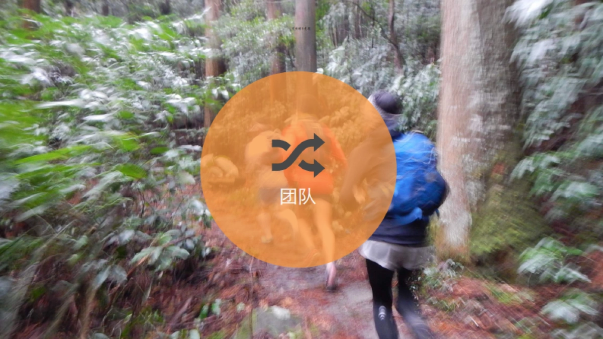 郁金香运动APP商业计划书_第7页