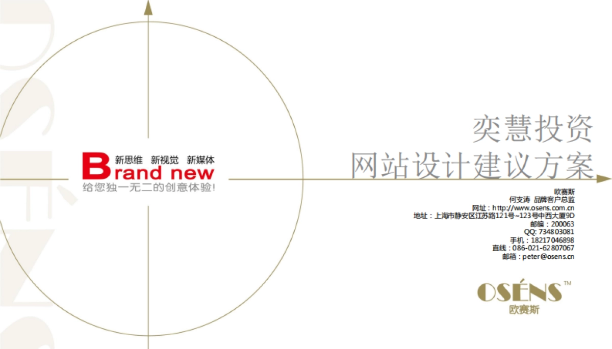 欧赛斯奕慧投资互联网金融网站建设建议方案_第1页