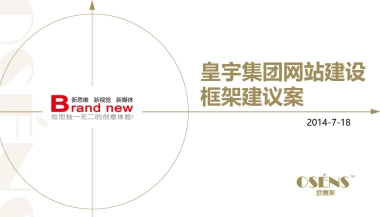 皇宇集团网站建设框架建议案