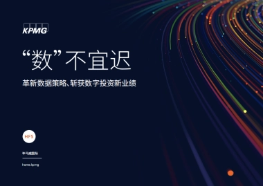 毕马威_革新数据策略、斩获数字投资新业绩：“数”不宜迟