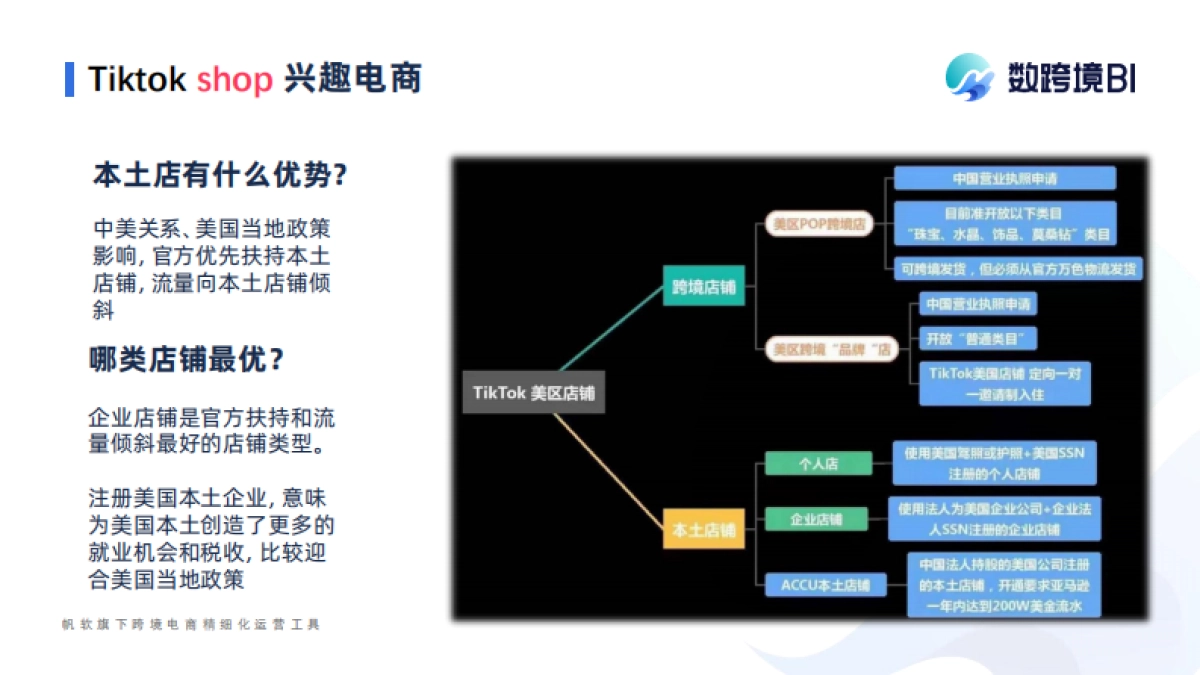 帆软：Tiktok shop爆品玩法-数跨境BI 数据监测广告投放_第10页