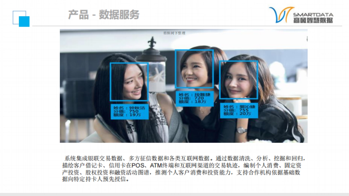 高风智慧数据商业计划书_第10页