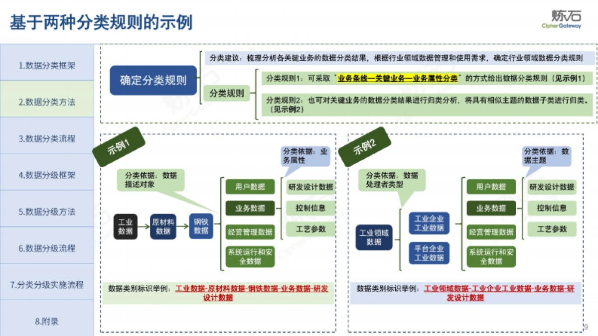 炼石：图解《网络数据分类分级要求》（征求意见稿）_第9页