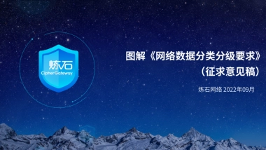 炼石：图解《网络数据分类分级要求》（征求意见稿）