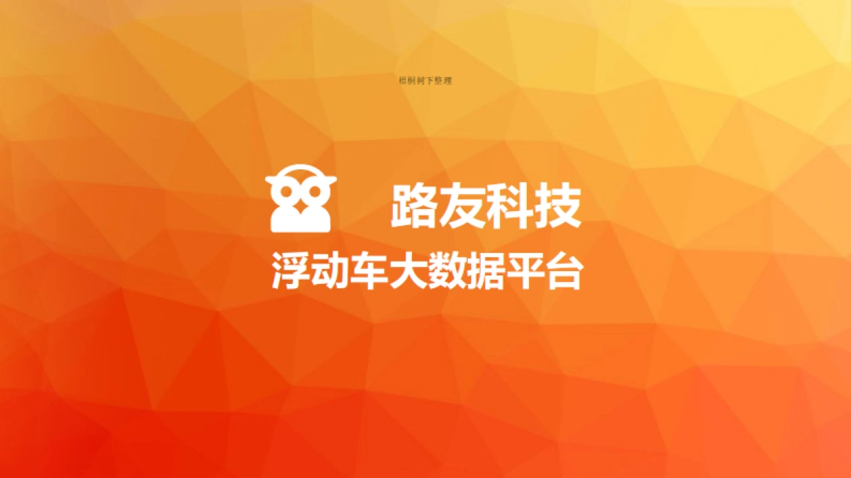 路友科技浮动车大数据平台_第1页