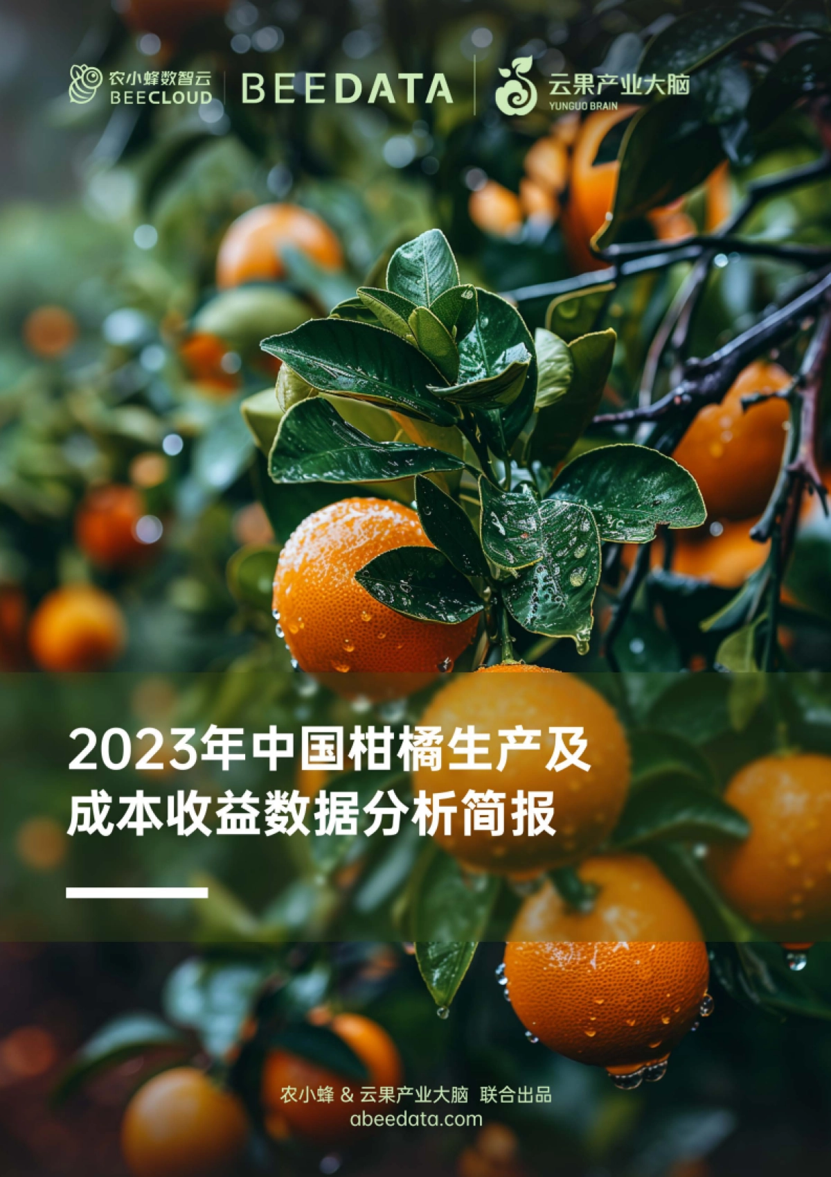 农小蜂：2023年中国柑橘生产及成本收益数据分析简报_第1页