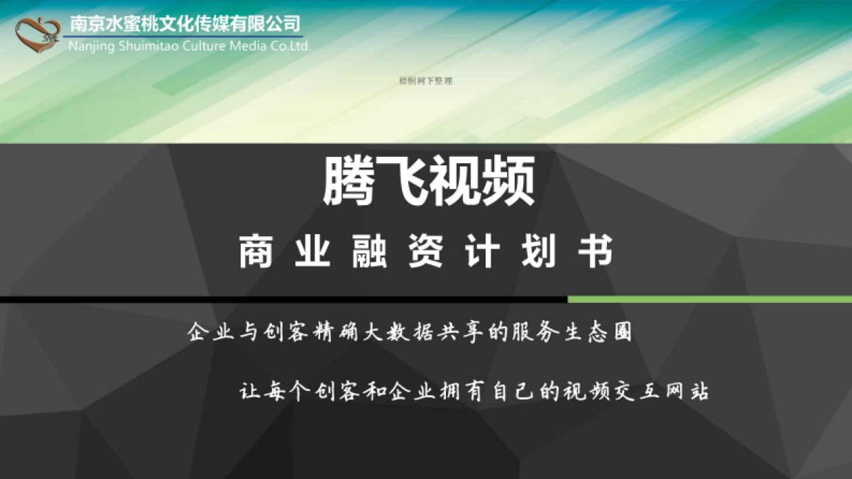 腾飞视频-企业与创客精确大数据共享的服务生态圈商业计划书_第1页