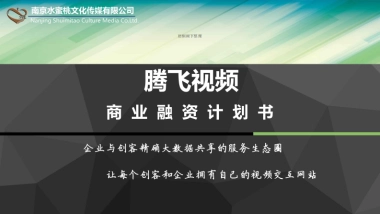 腾飞视频-企业与创客精确大数据共享的服务生态圈商业计划书