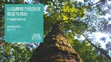 倍加洁产品线构筑