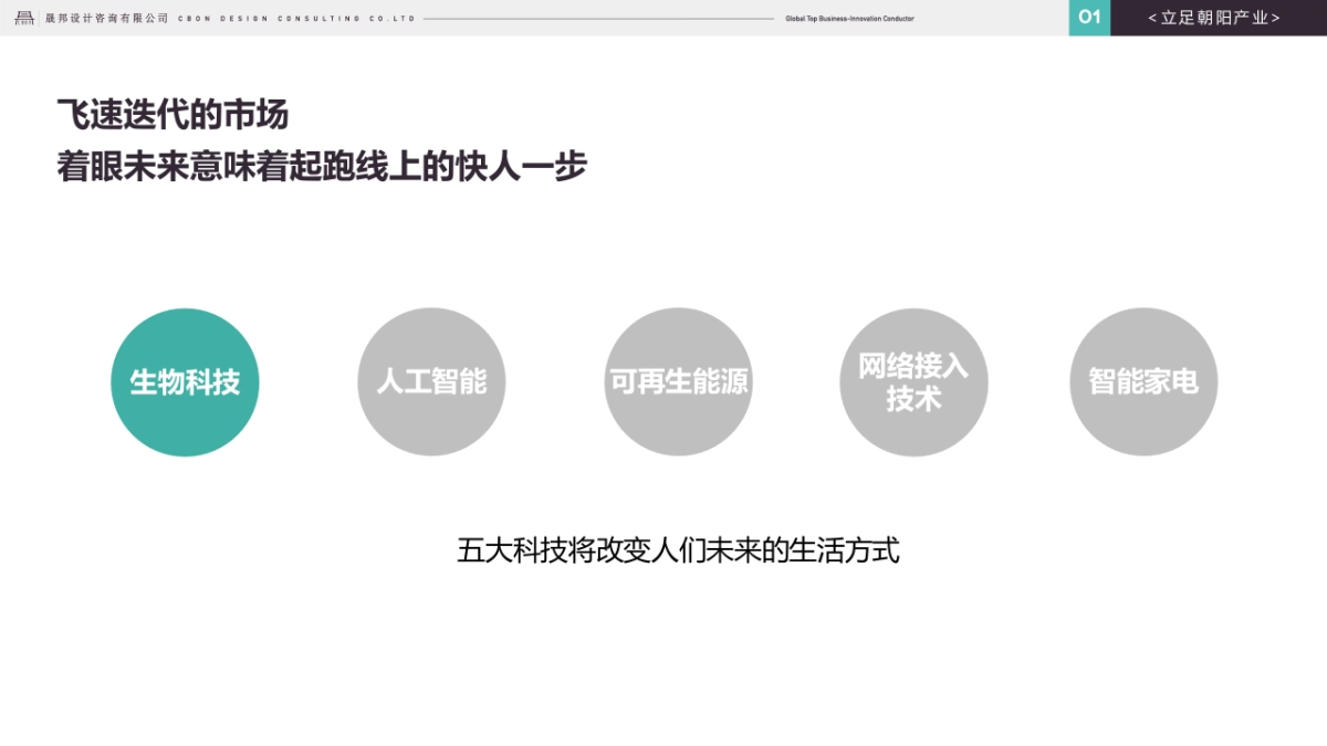 倍加洁牙膏产品线规划总_第8页