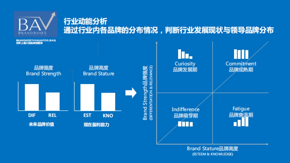 福格森孕妇营养产品策略方案_第9页