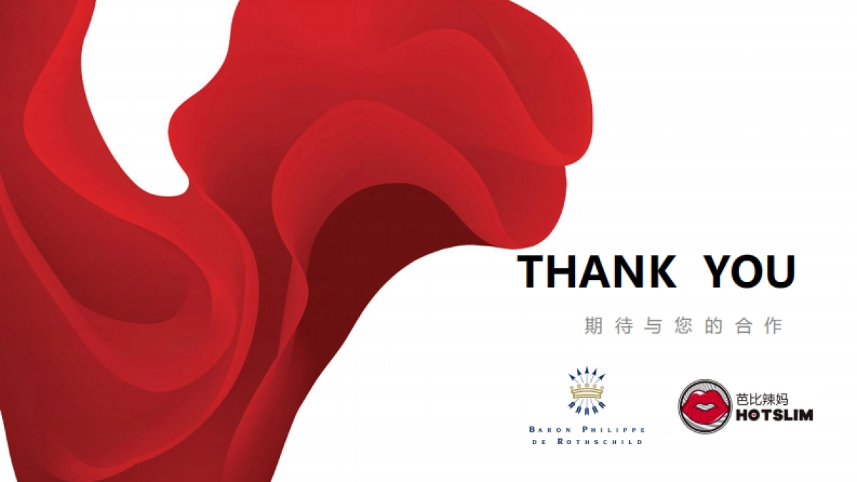 罗斯柴尔德红酒产品植入系列节目方案_第10页