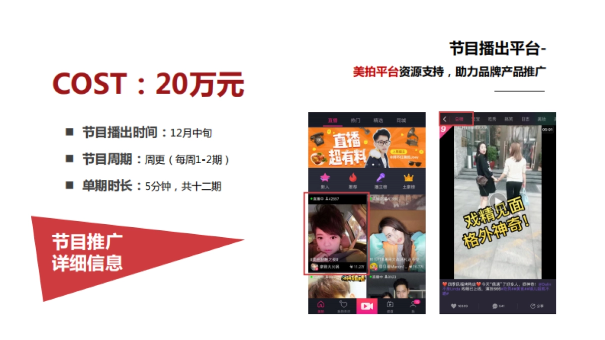 罗斯柴尔德红酒产品植入系列节目方案_第8页