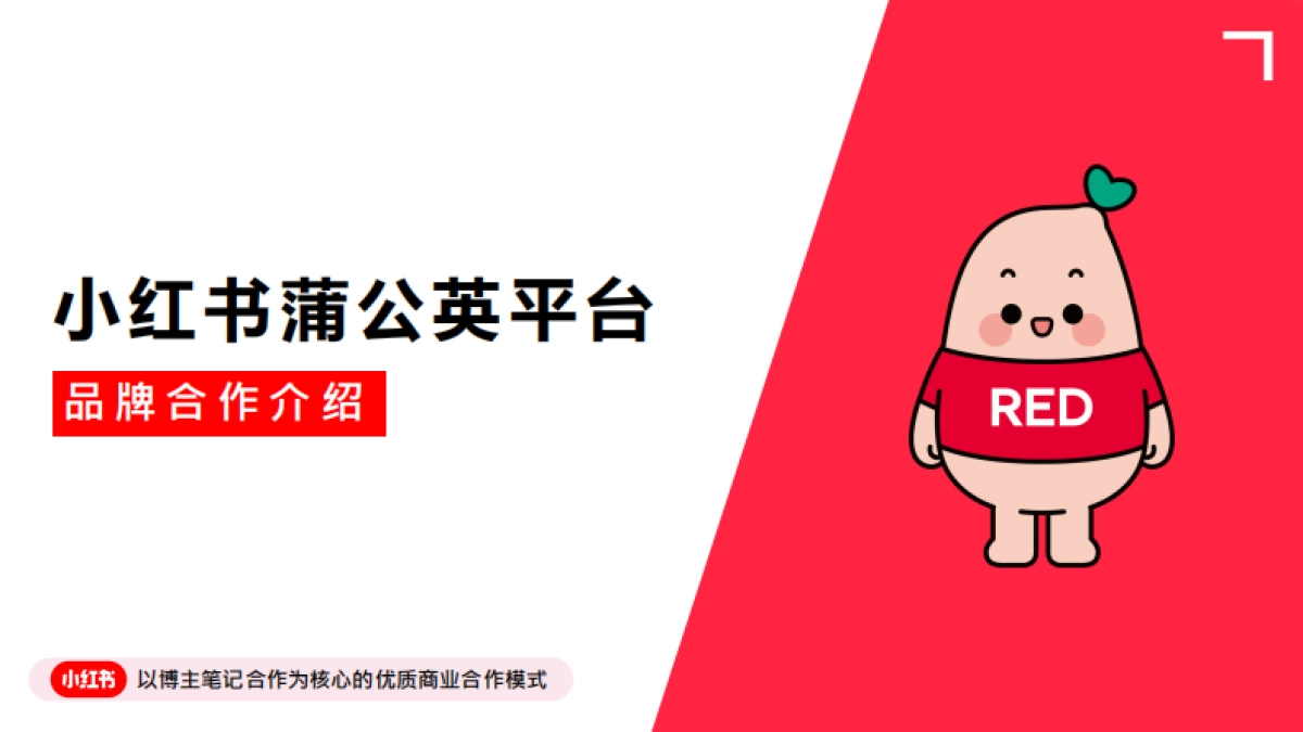 蒲公英产品手册_第1页