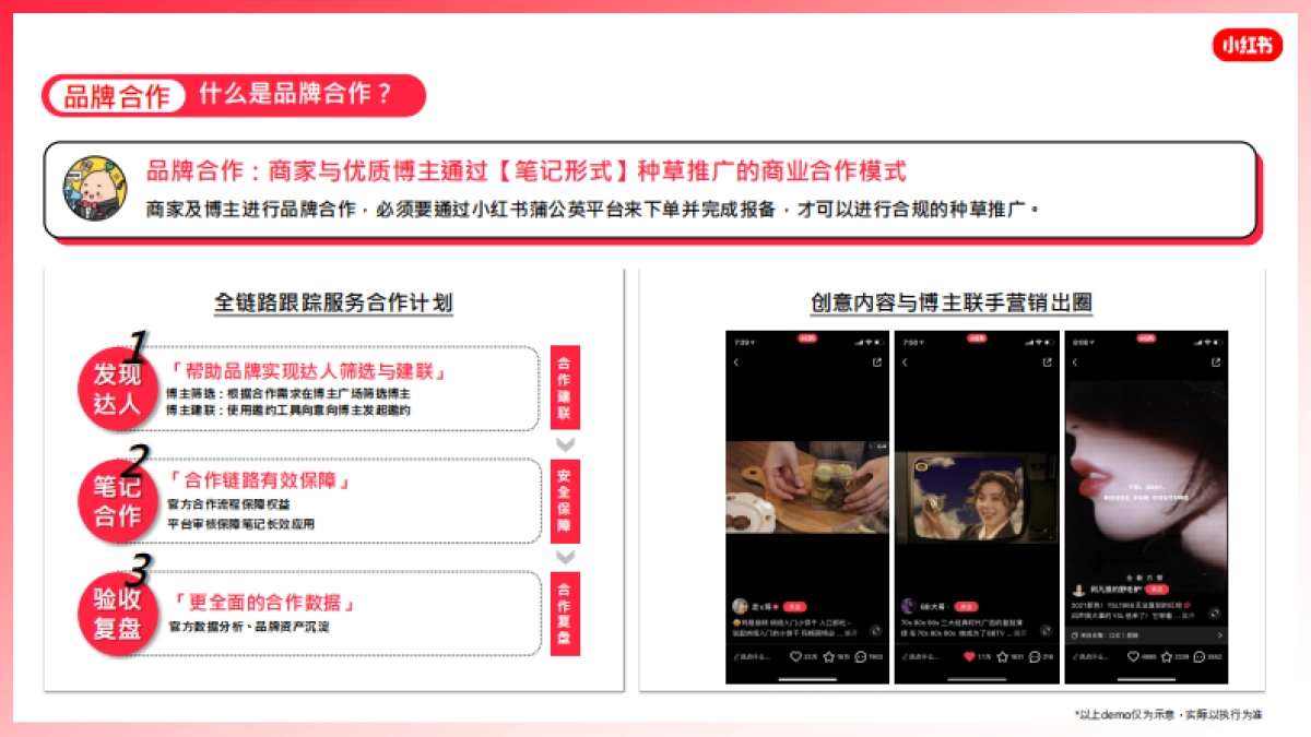 蒲公英产品手册_第10页