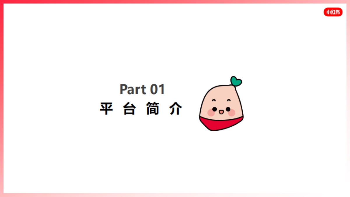 蒲公英产品手册_第2页