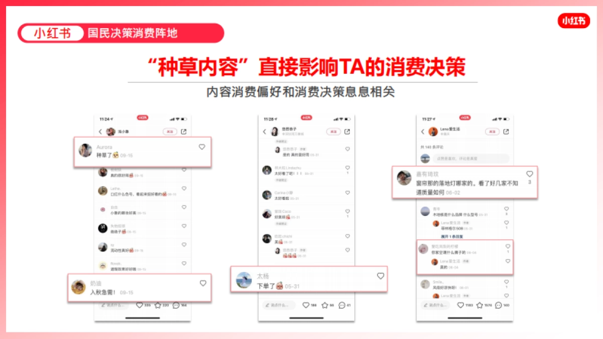 蒲公英产品手册_第5页