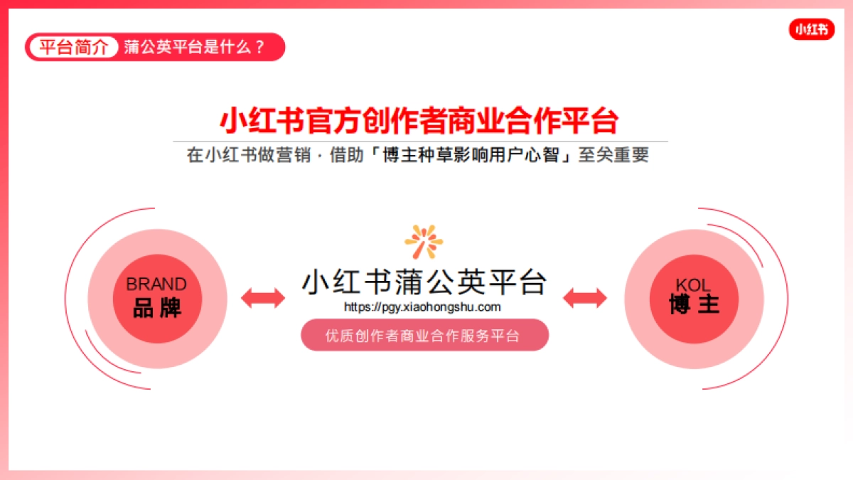 蒲公英产品手册_第6页