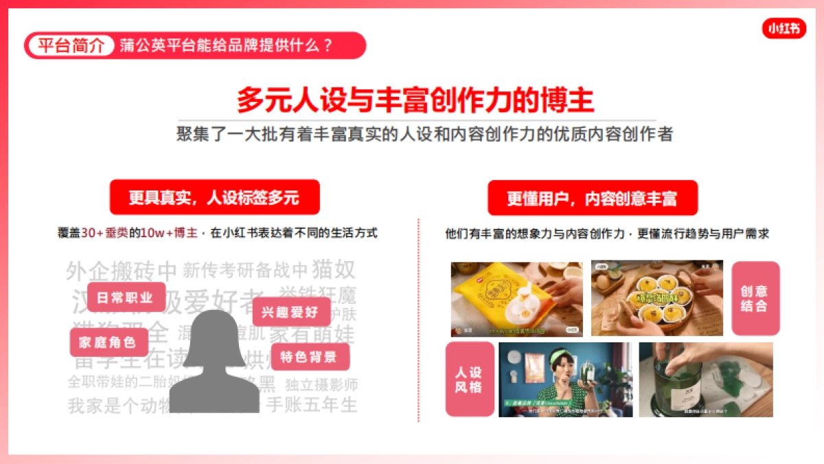 蒲公英产品手册_第7页