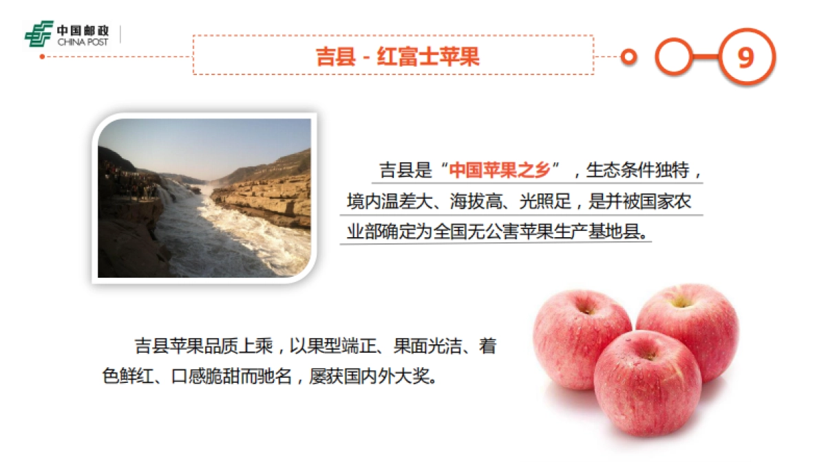 山西农产品介绍(定)_第9页