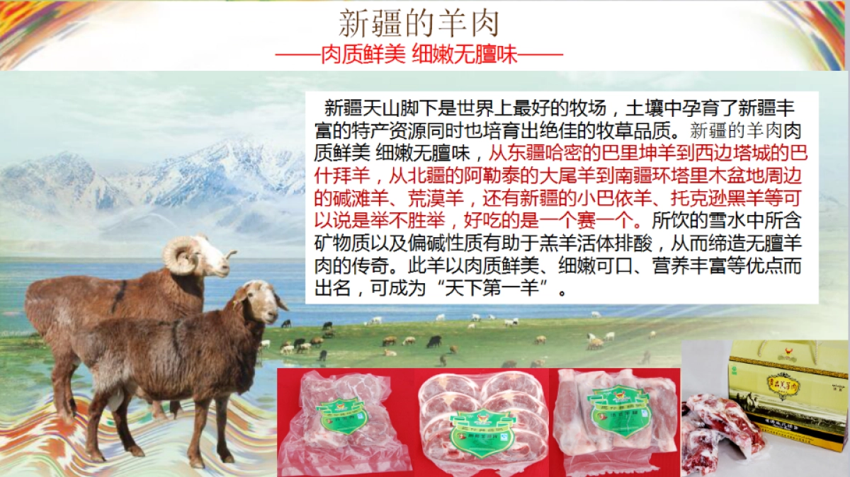 新疆特色产品宣介_第10页