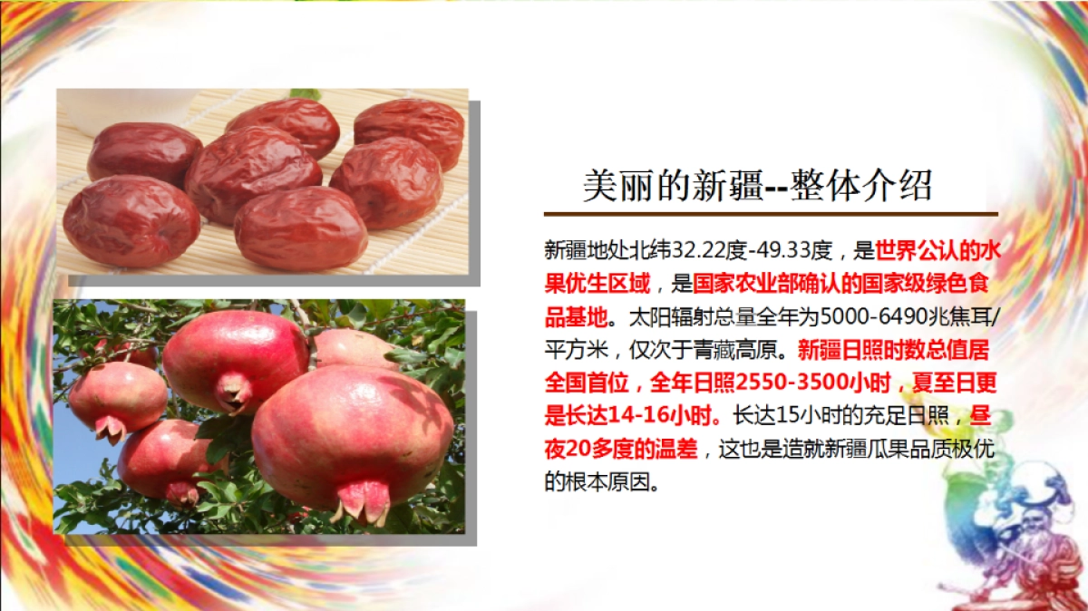 新疆特色产品宣介_第2页