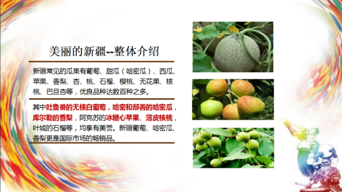 新疆特色产品宣介_第3页