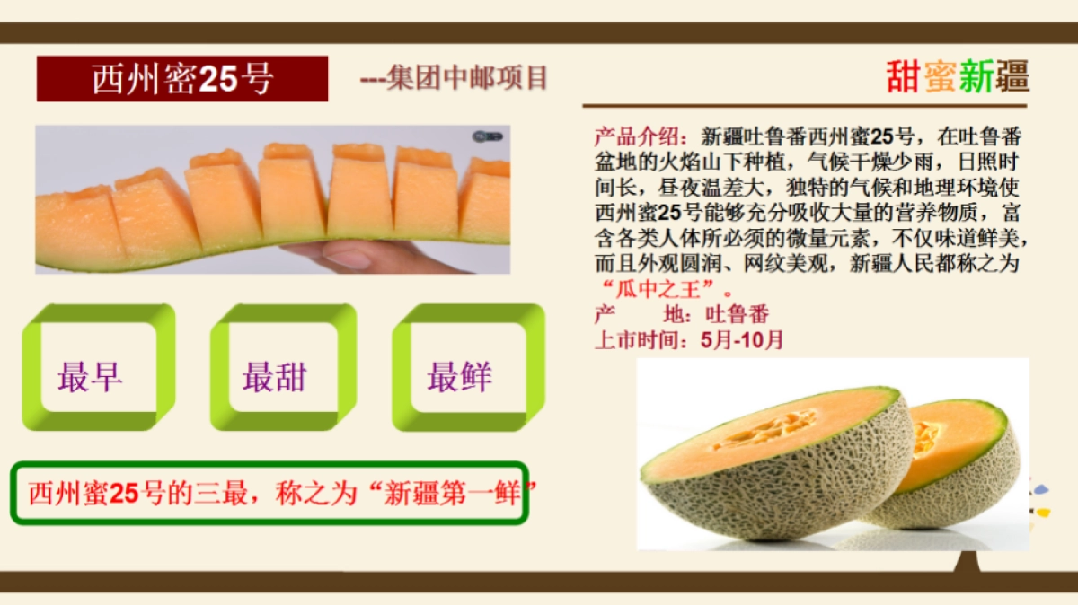 新疆特色产品宣介_第4页